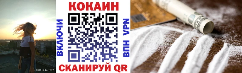 COCAIN FishScale  Купить закладки  Лукоянов 