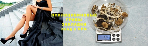 прущая мука Бородино