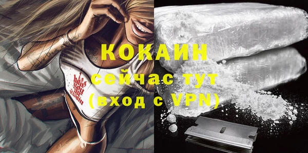 молекула духа Богородицк