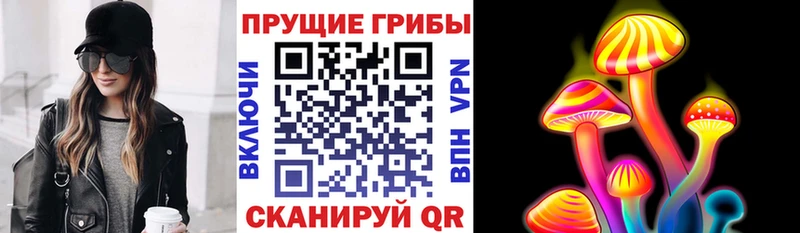 Псилоцибиновые грибы Magic Shrooms  Купить где  Лукоянов 
